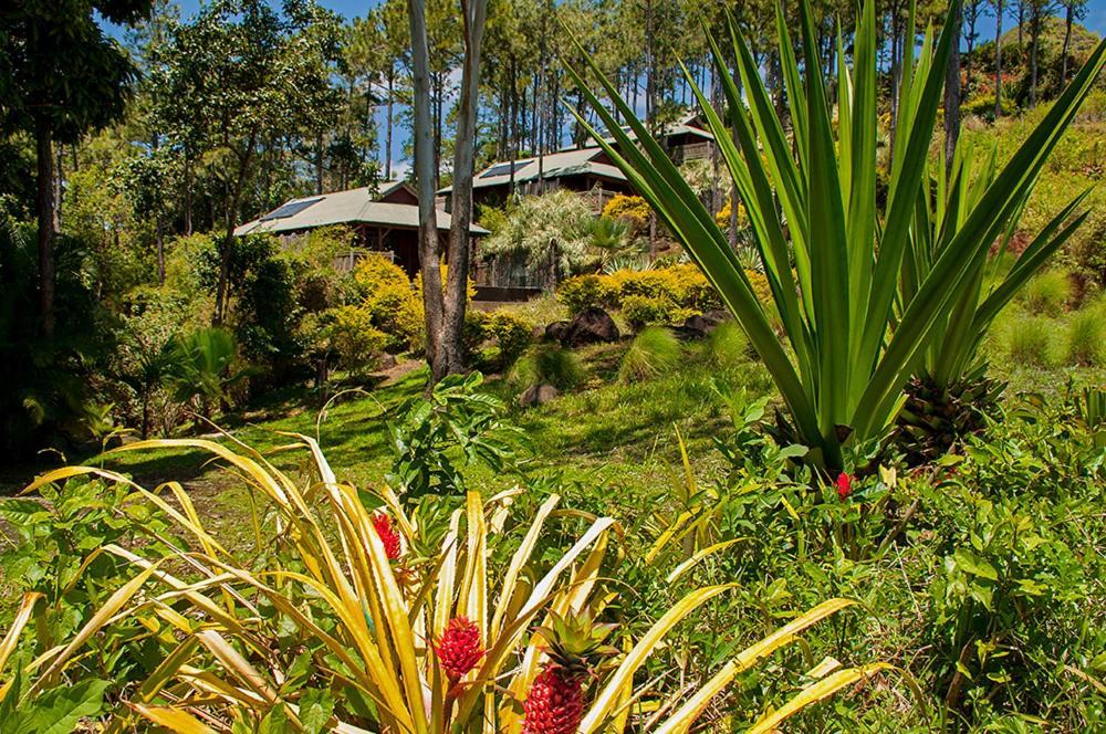 Lakaz Chamarel Exclusive Lodge Kültér fotó